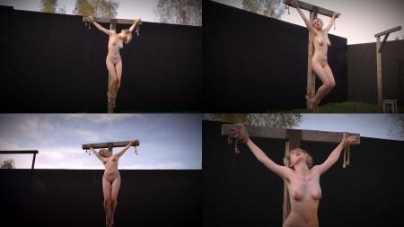 Moth on the Cross Full HD