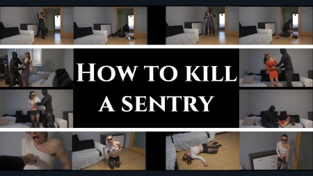 How to kill a sentry - - 17 minutes long knife/gun fun video (only sounds effects, no blood)

- many death scenes

- many outfits

elements: ambush attacks, male vs female, stabbing to belly/chest, shooting, dying  agony, fighting, no blood at all